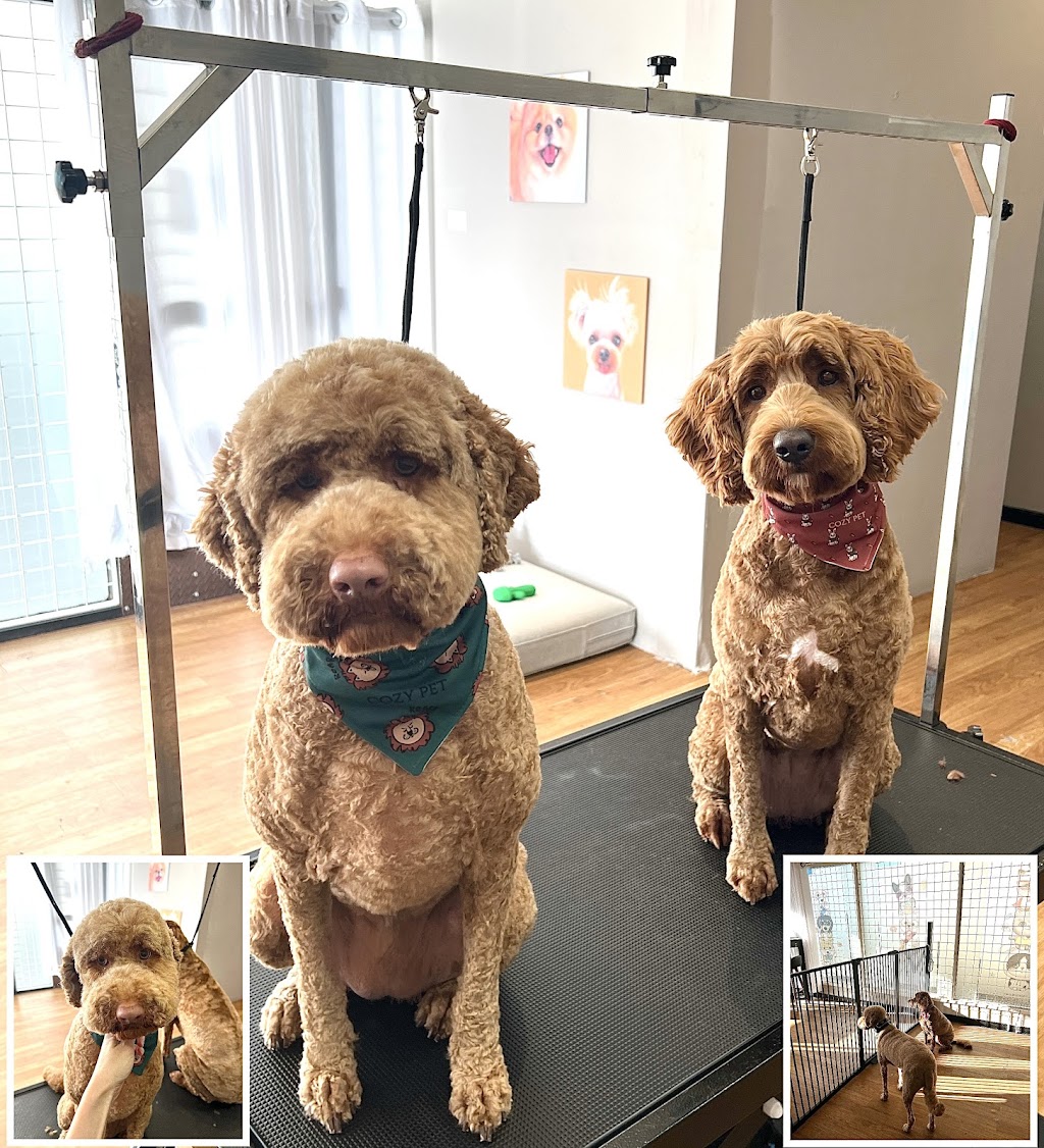 Cozy Pet Grooming Studio | point of interest | Shop 6/1401 Point Nepean Rd, Rosebud VIC 3939, Australia | 0466848855 OR +61 466 848 855