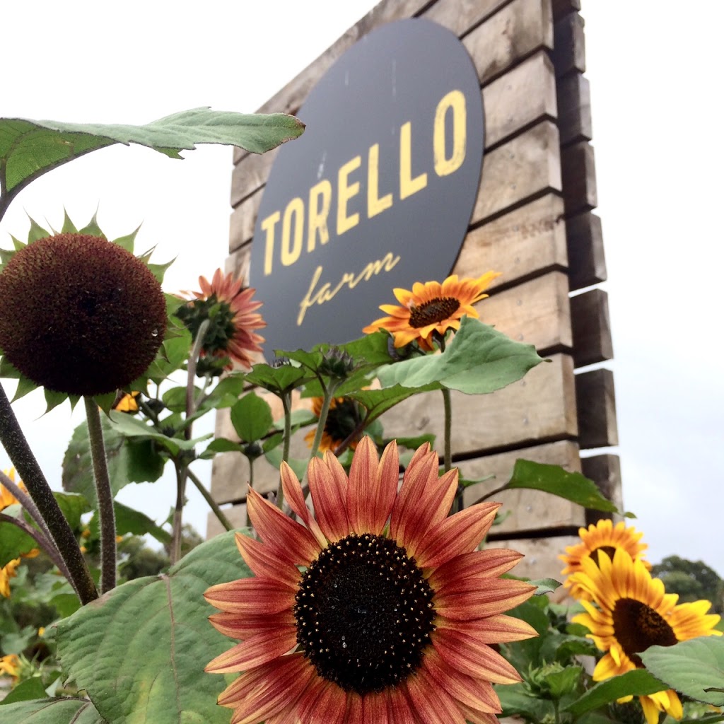 Torello Farm | store | 410 White Hill Rd, Dromana VIC 3936, Australia | 0359810335 OR +61 3 5981 0335