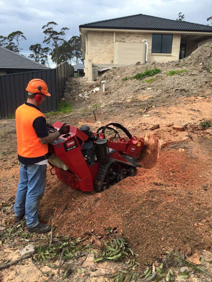 coast to country tree specialists | park | 20 Michele Cres, Glendale NSW 2285, Australia | 0402554432 OR +61 402 554 432