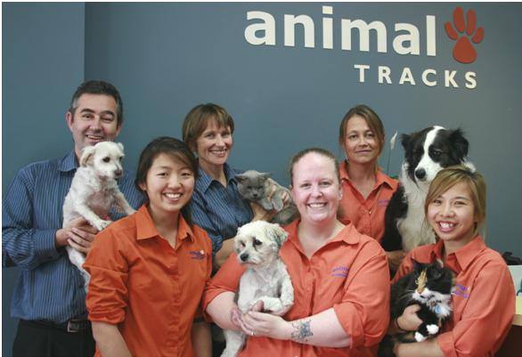 Animal Tracks Veterinary Clinic | veterinary care | 24 The Crescent, Homebush NSW 2140, Australia | 0297646066 OR +61 2 9764 6066