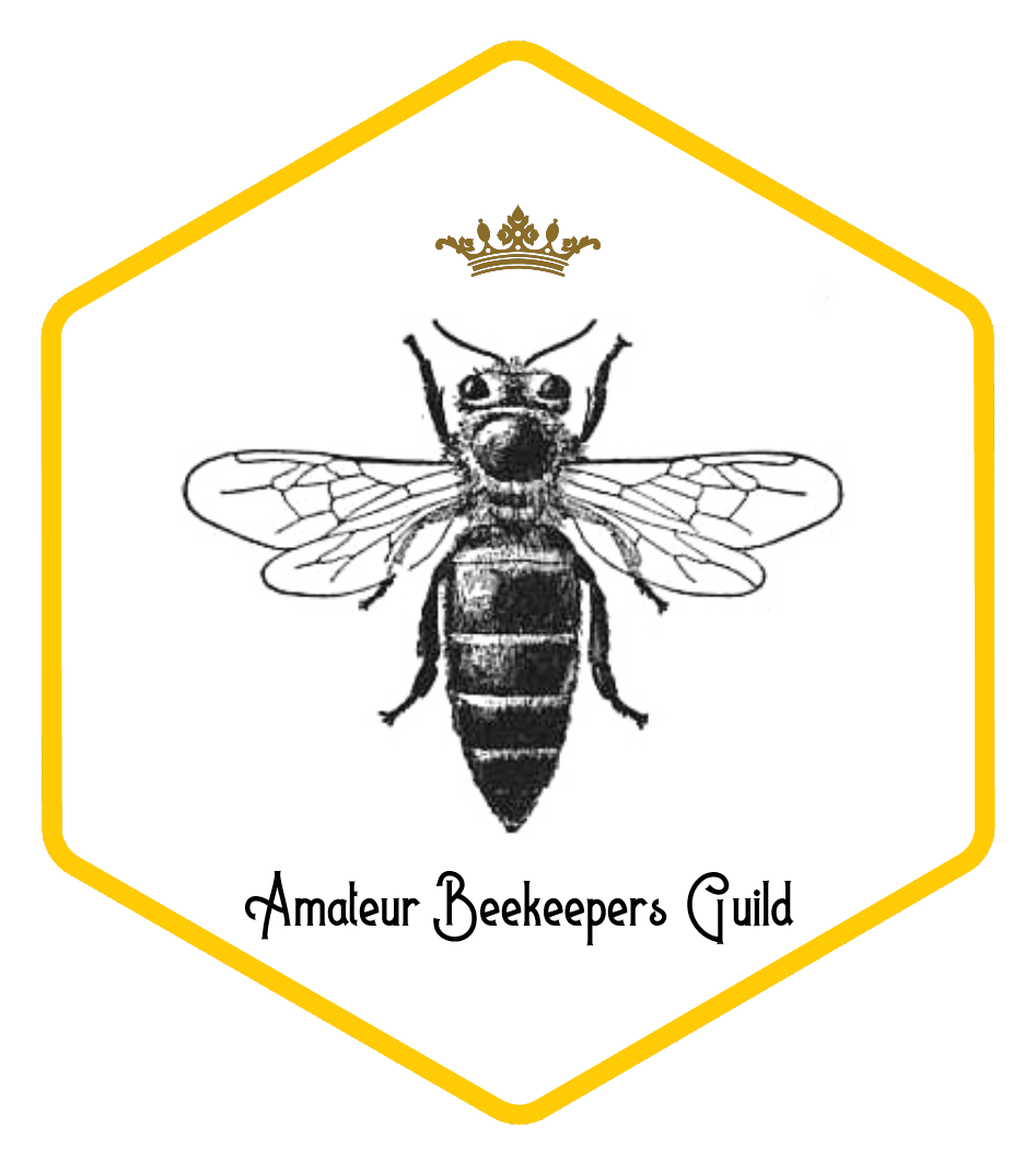 Amateur Beekeepers Guild |  | 46 Hillview Parade, Ashmore QLD 4214, Australia | 0412974468 OR +61 412 974 468