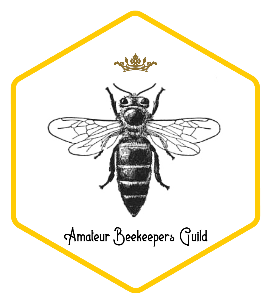 Amateur Beekeepers Guild | 46 Hillview Parade, Ashmore QLD 4214, Australia | Phone: 0412 974 468