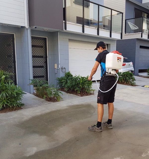Right As Rain Complete Cleaning | 8 Belah Ct, Banora Point NSW 2486, Australia | Phone: 0402 384 682
