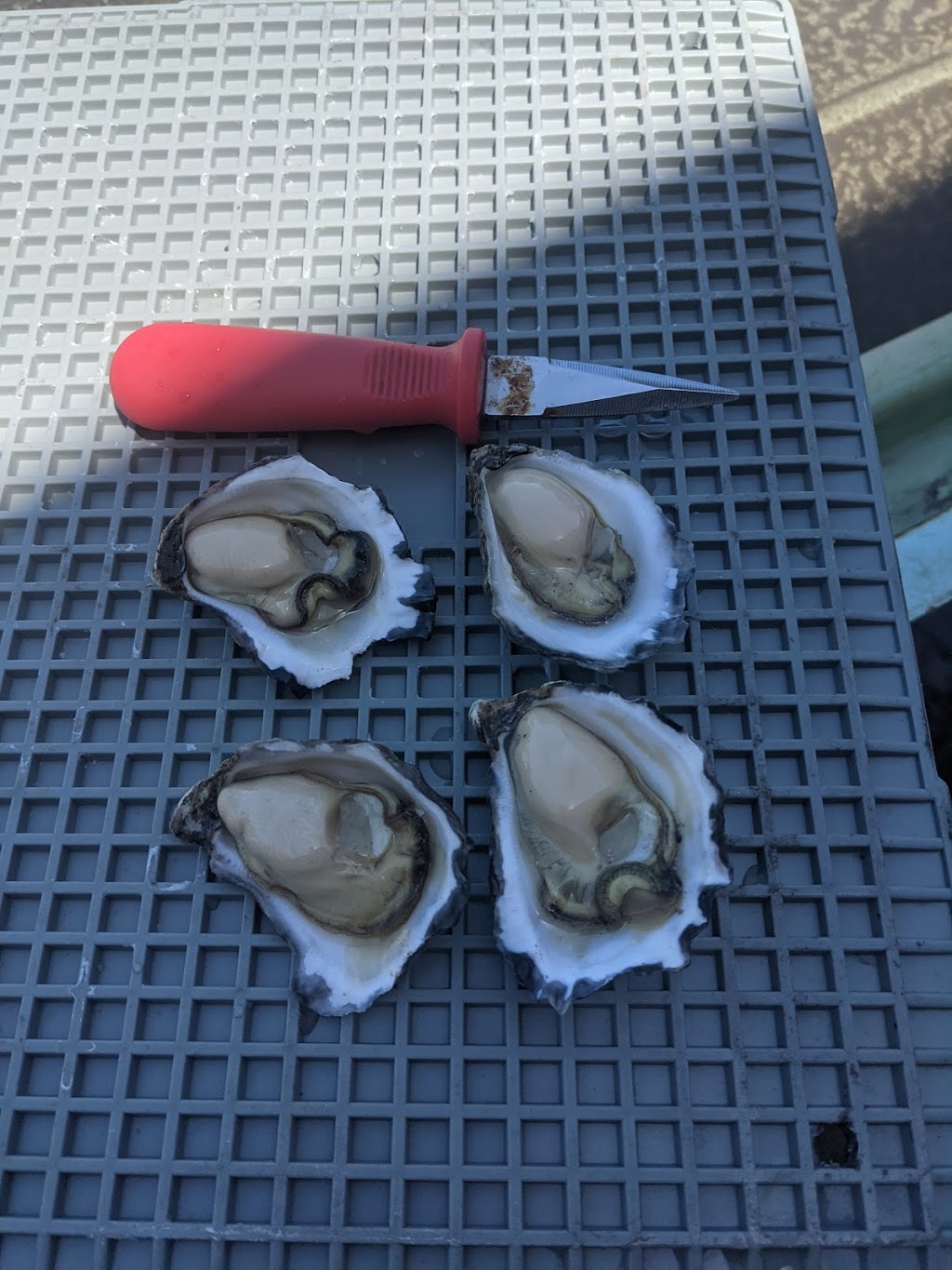 Pinnacle Oysters | 41 Clyde St, Batemans Bay NSW 2536, Australia | Phone: 0492 912 853