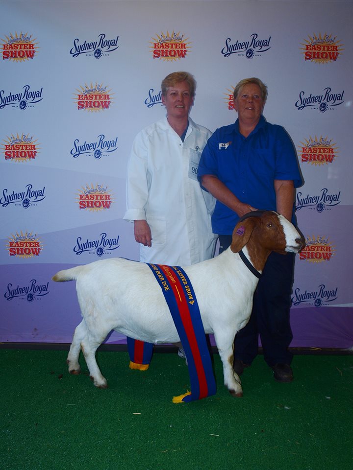 Carrington View Boer Goats |  | 129 Kettles Ln, Tallong NSW 2579, Australia | 0248410769 OR +61 2 4841 0769