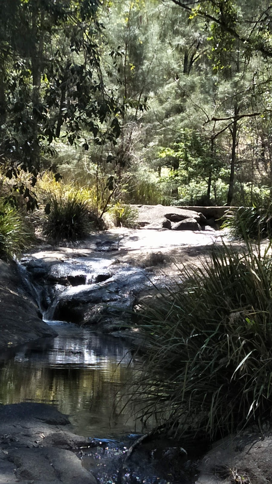 Mann River Nature Reserve | park | Diehard NSW 2370, Australia
