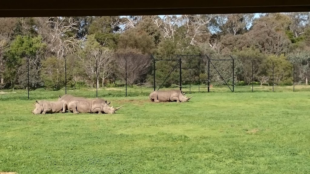 Werribee Open Range Zoo | K Rd, Werribee South VIC 3030, Australia | Phone: 1300 966 784