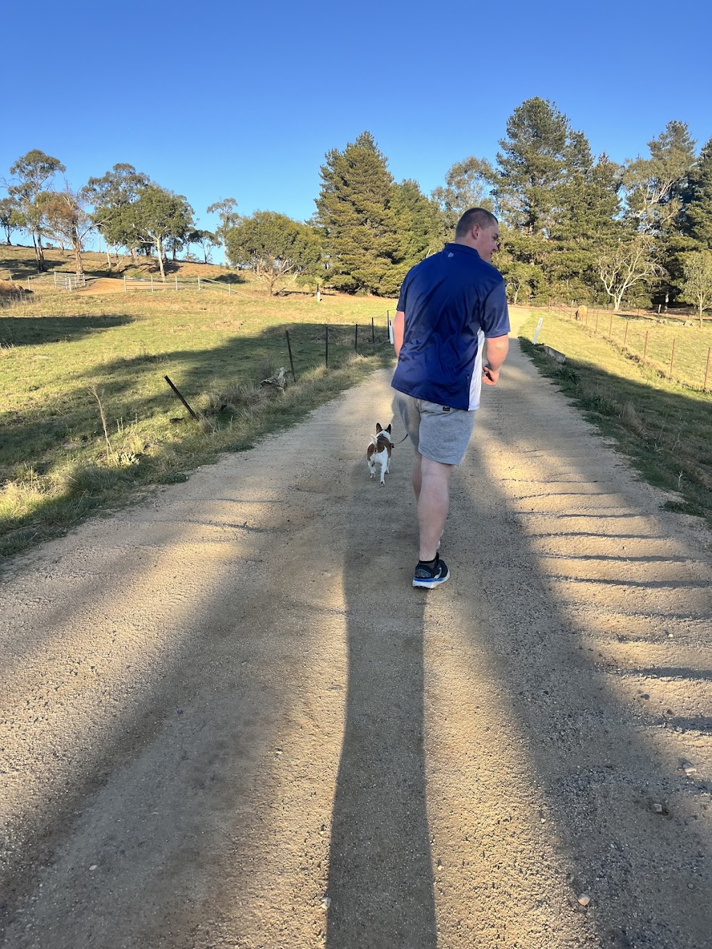 Lisa’s Pet Sitting Services | Towrang Vale Rd, Dairymans Plains NSW 2630, Australia | Phone: 0452 420 178