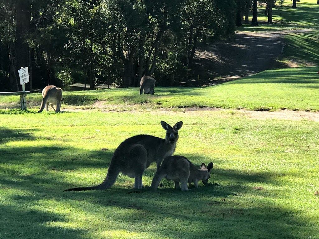 Kempsey Golf Club and Driving Range | 330 Macleay Valley Way, South Kempsey NSW 2440, Australia | Phone: (02) 6562 6291