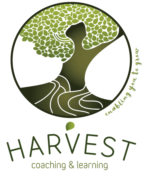 Harvest Coaching & Learning |  | 3 Berkefeld Ct, Cheltenham VIC 3192, Australia | 0413776564 OR +61 413 776 564
