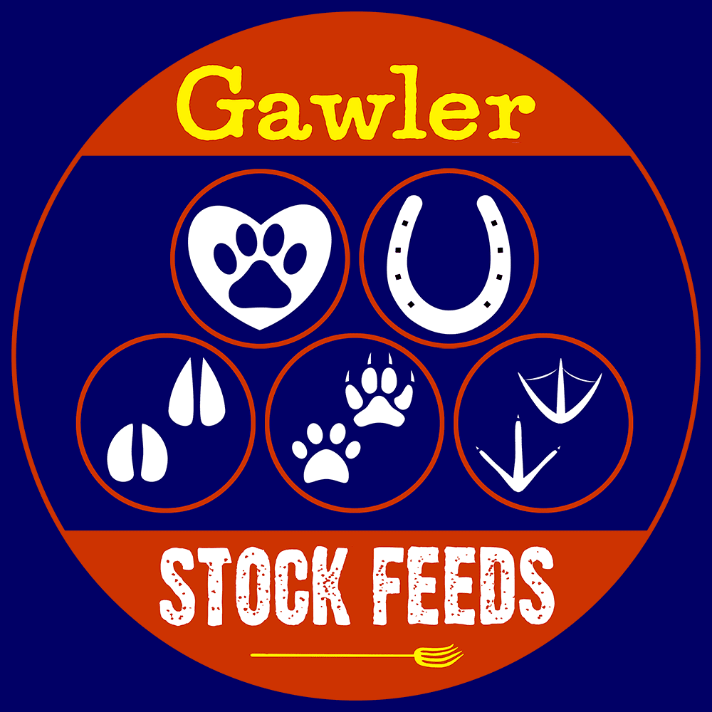 Gawler Stock Feeds | store | 12 Main N Rd, Gawler SA 5118, Australia | 0885221458 OR +61 8 8522 1458
