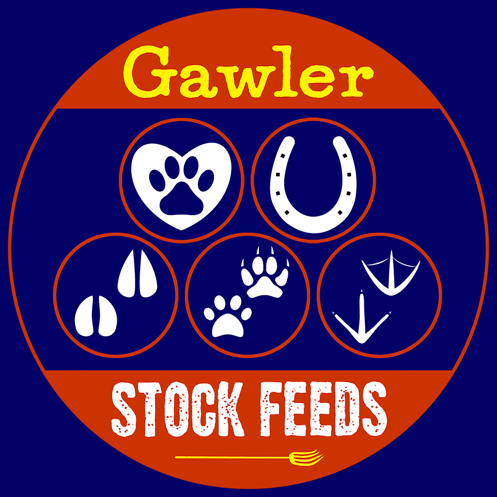 Gawler Stock Feeds | 12 Main N Rd, Gawler SA 5118, Australia | Phone: (08) 8522 1458