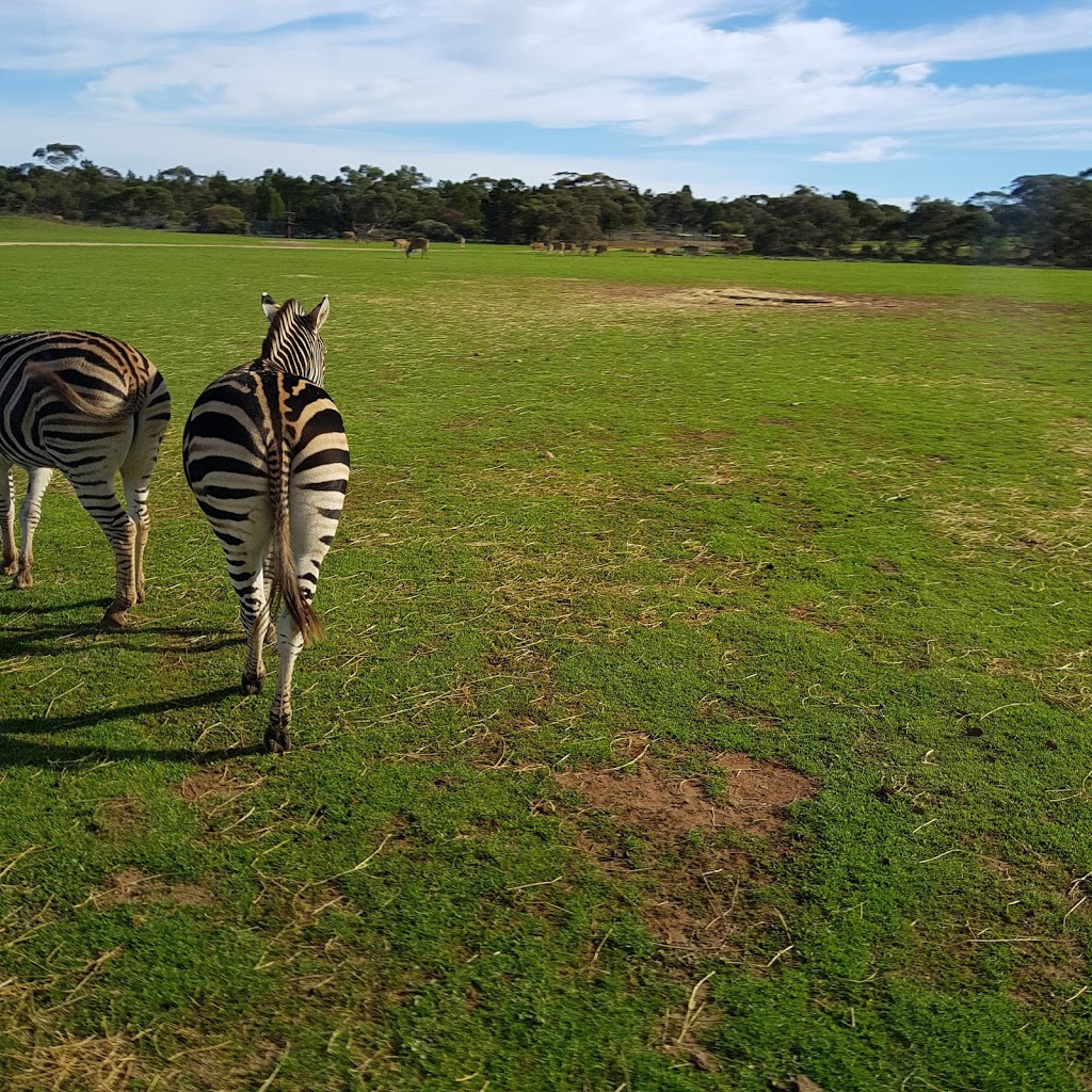 Monarto Zoo | Old Princes Hwy, Monarto South SA 5254, Australia | Phone: (08) 8534 4100