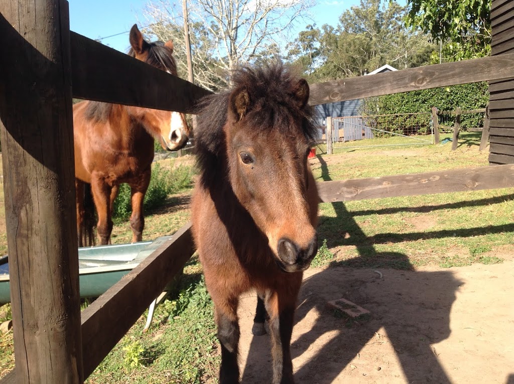 Hidden Valley | lodging | 986 Ourimbah Creek Rd, Palm Grove NSW 2258, Australia | 0243621438 OR +61 2 4362 1438