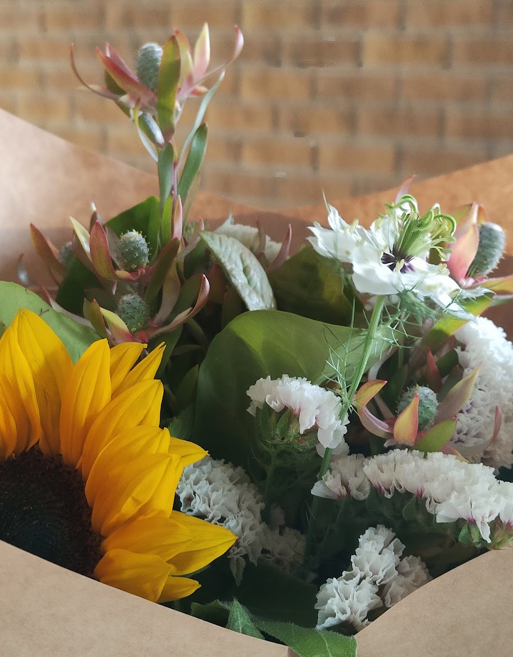 Ela Flora | 12 N Esk Dr, Seaham NSW 2324, Australia | Phone: 0407 243 134