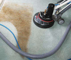 Carpet Cleaning Hawker | health | 32 Arkaba Street, Hawker, SA 5434, Australia | 0488811269 OR +61 488 811 269