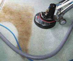 Carpet Cleaning Hawker | 32 Arkaba Street, Hawker, SA 5434, Australia | Phone: 0488 811 269