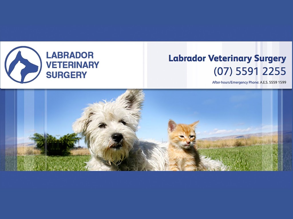 Labrador Veterinary Surgery | veterinary care | 1 Clayton St, Labrador QLD 4215, Australia | 0755912255 OR +61 7 5591 2255