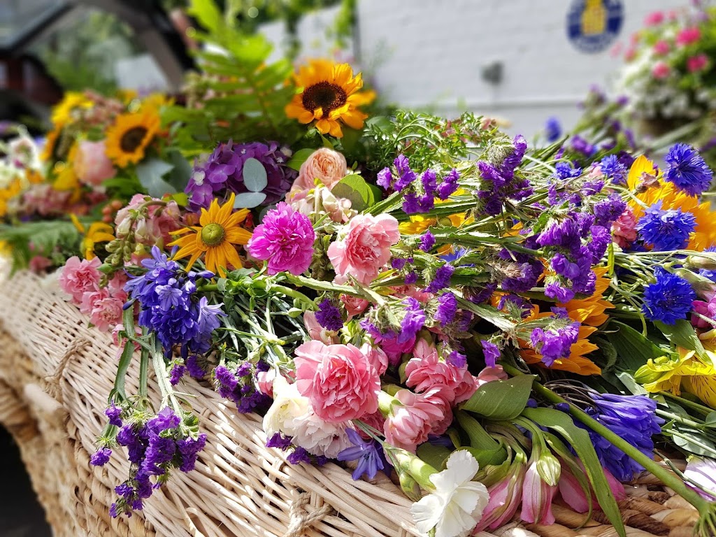 Tree of Life Funerals - Batemans Bay, Moruya, Narooma | 20 Angophora Pl, Catalina NSW 2536, Australia | Phone: 0493 276 554