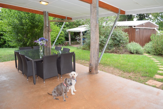 Dog Friendly Holidays - Lynden Farm | real estate agency | 73 West Rd, Tamborine Mountian QLD 4272, Australia | 0413059925 OR +61 413 059 925