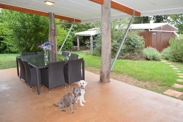 Dog Friendly Holidays - Lynden Farm | 73 West Rd, Tamborine Mountian QLD 4272, Australia | Phone: 0413 059 925