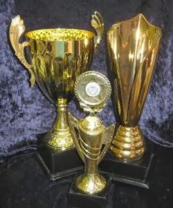 Kopycut Trophies & Performance Plaques | store | 2/14 Duffy Ave, Thornleigh NSW 2120, Australia | 0294845511 OR +61 2 9484 5511