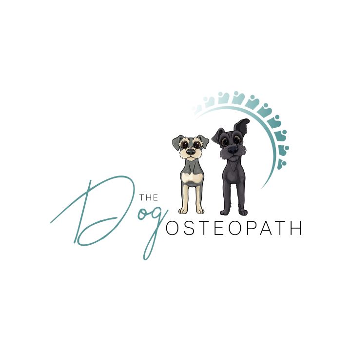 The Dog Osteopath |  | 48 Berrima Rd, Moss Vale NSW 2577, Australia | 0416631290 OR +61 416 631 290