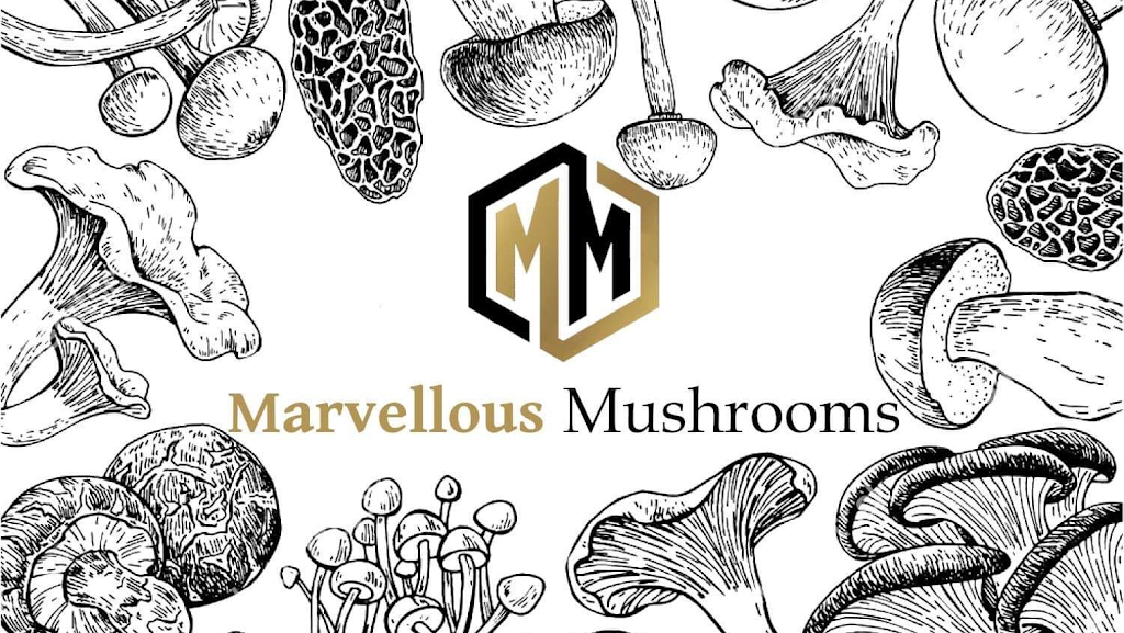 Marvellous Mushrooms | 90 Hope St, Bunyip VIC 3815, Australia | Phone: 0497 265 601