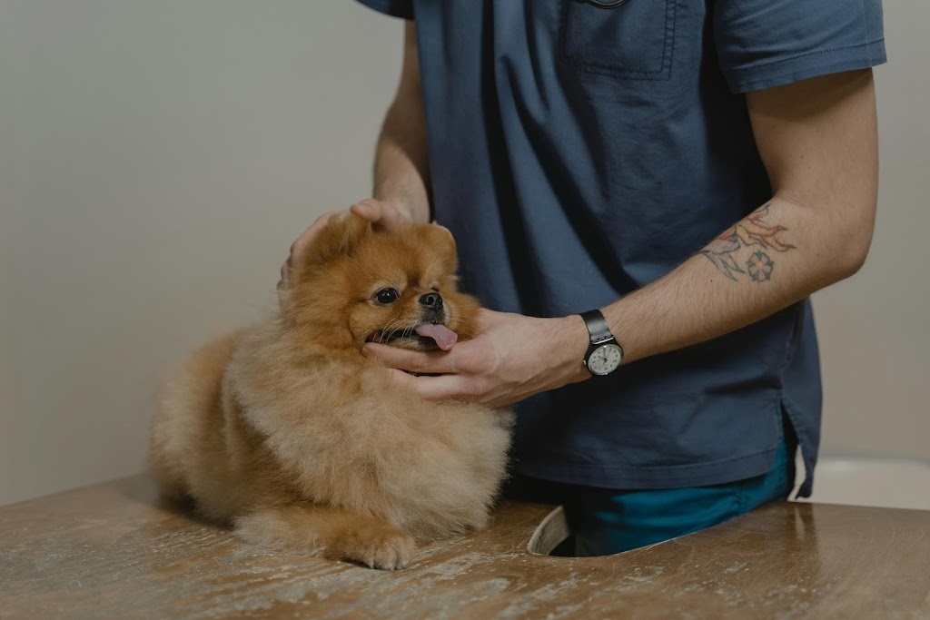 Samford Emergency & Day Vets 24/7 | 1 Serendipity Dr, Samford Valley QLD 4520, Australia | Phone: (07) 3289 9073