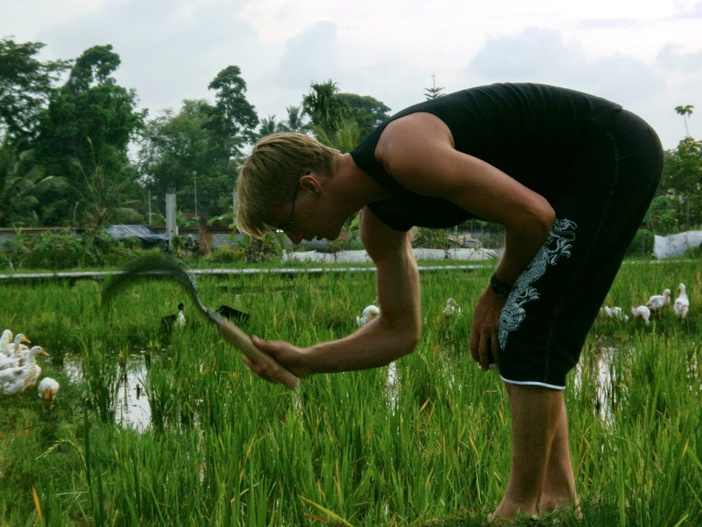 Permaculture Tools | 409 Hawthorne Rd, Bulimba QLD 4171, Australia | Phone: 0404 887 452