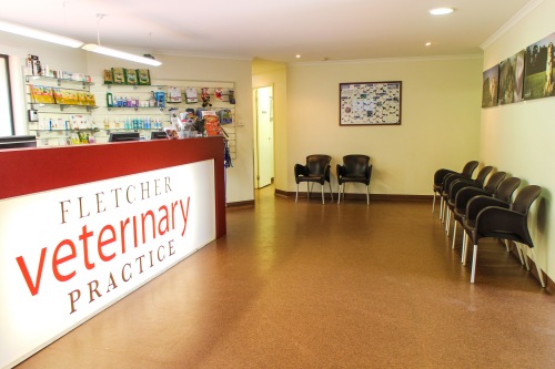 Fletcher Veterinary Practice | veterinary care | 4 Beech Cl, Fletcher NSW 2287, Australia | 0249556670 OR +61 2 4955 6670
