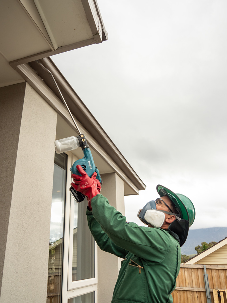 Pied Piper Pest Control | 542a Nelson Rd, Mount Nelson TAS 7007, Australia | Phone: 0415 819 602