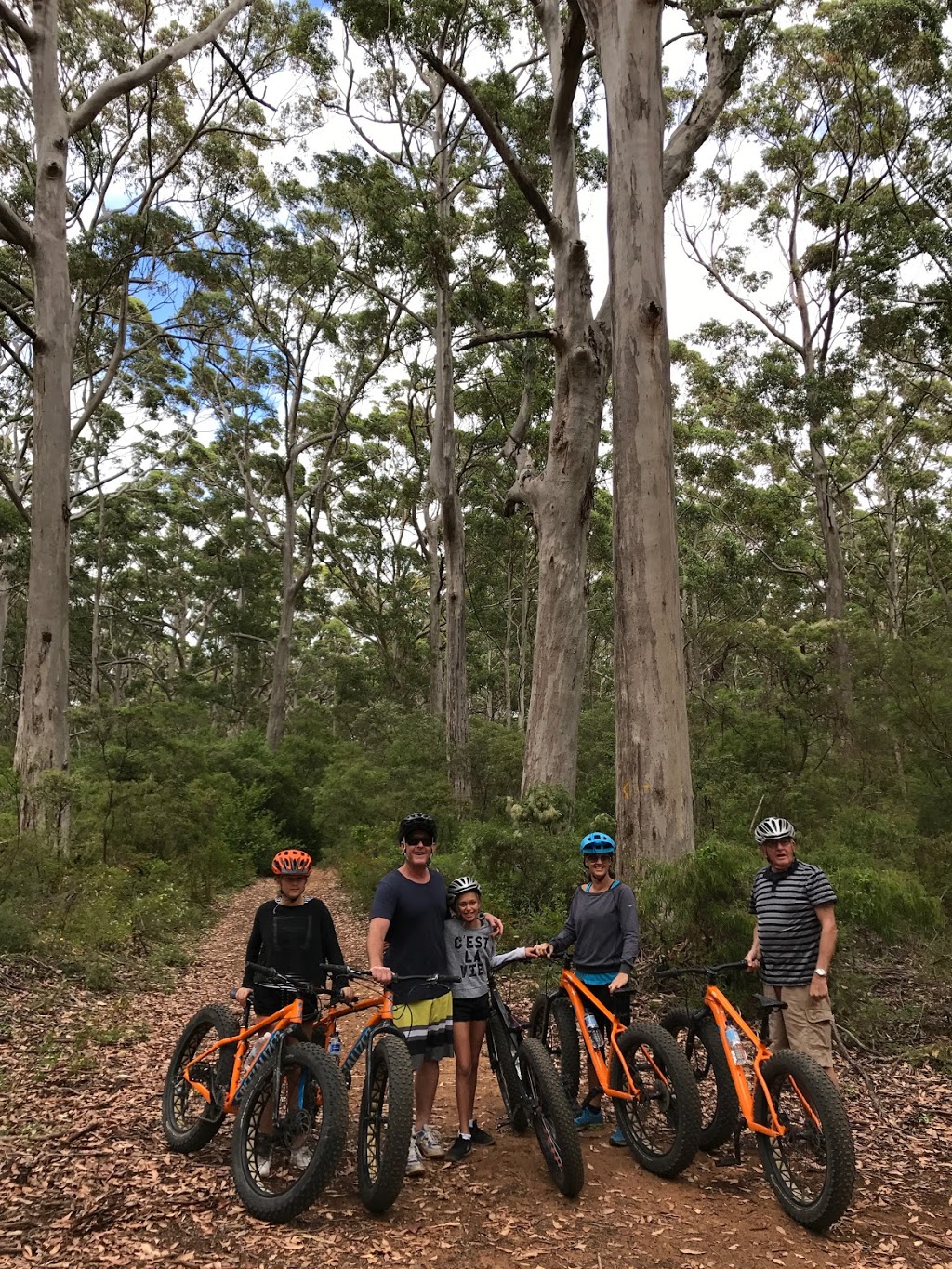 Margaret River Adventure - fat bikes | Caves Rd, Boranup WA 6285, Australia | Phone: 0418 808 993