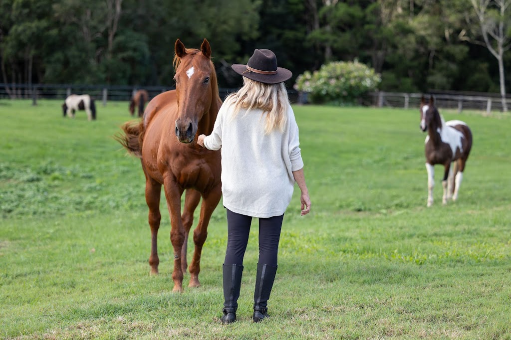 Unbridled Equine | 406 Guanaba Creek Rd, Guanaba QLD 4210, Australia | Phone: 0424 183 161