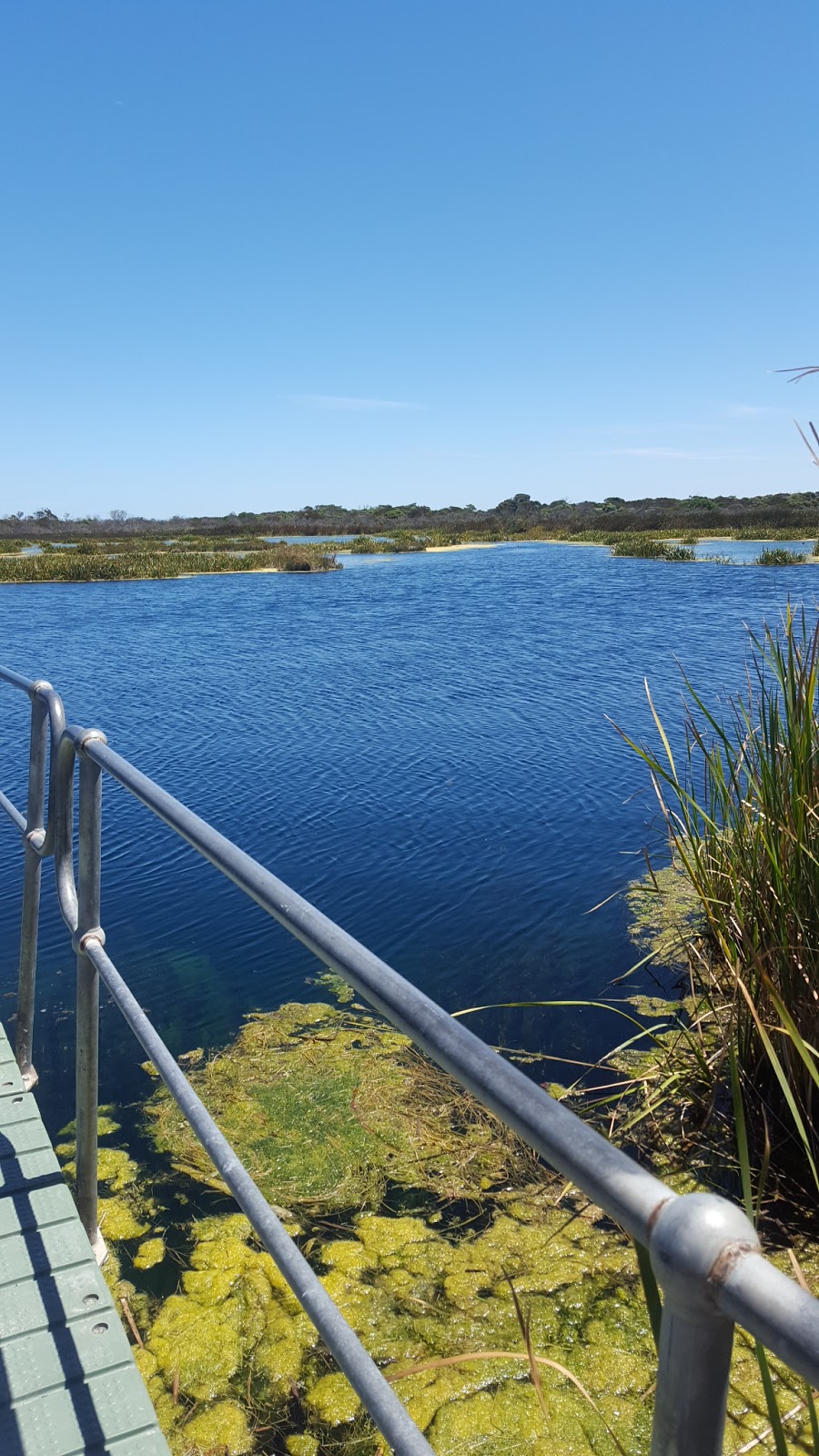 Piccaninnie Ponds Conservation Park | Piccaninnie Ponds Rd, Wye SA 5291, Australia | Phone: (08) 8735 1177