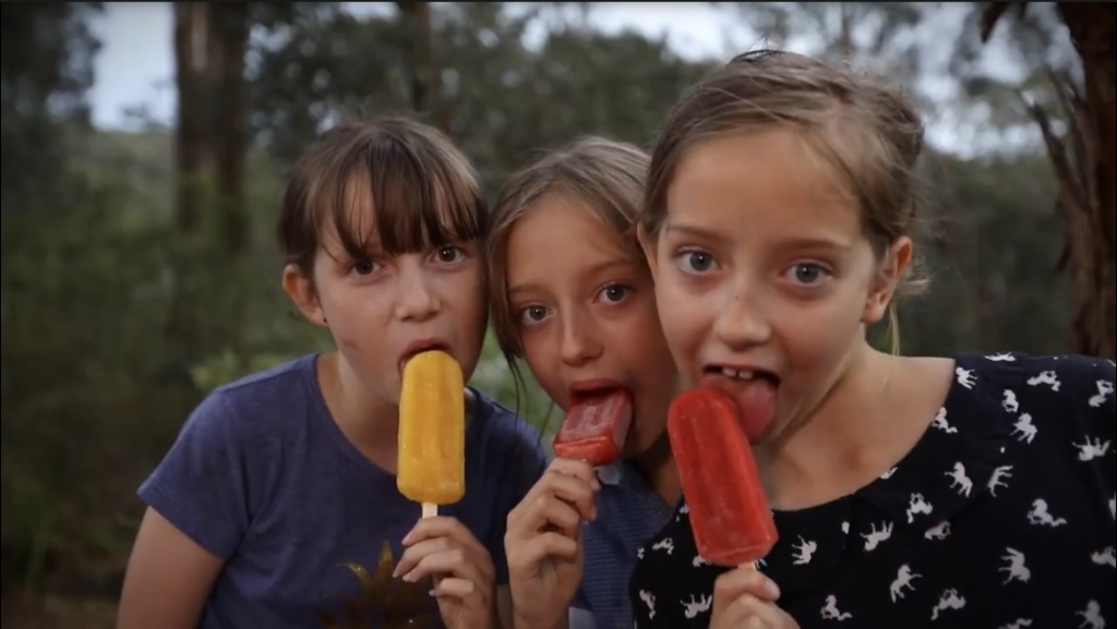 Paleta Artisan Ice Popsicles | 45 Weidlich Rd, Eltham North VIC 3088, Australia | Phone: 0449 607 660
