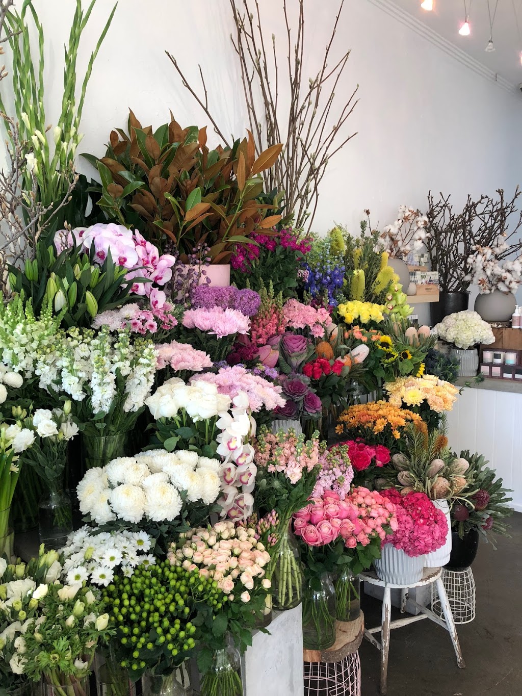 Flower Bowl | 8 Ormond Rd, East Geelong VIC 3219, Australia | Phone: (03) 5229 6506