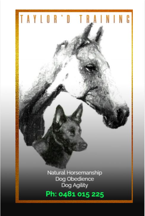 Taylord Horsemanship & Dog Training | Killigrew Rd, Tamborine QLD 4270, Australia | Phone: 0481 015 225