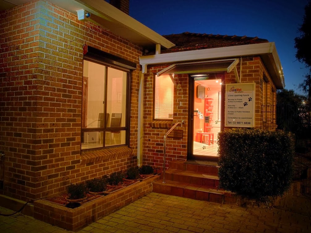 ActiVet Clinic Carlingford | 274 Pennant Hills Rd, Carlingford NSW 2118, Australia | Phone: (02) 9871 6838