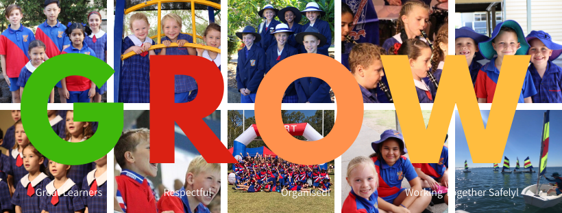 Gumdale State School | school | 677 New Cleveland Rd, Gumdale QLD 4154, Australia | 0739028333 OR +61 7 3902 8333