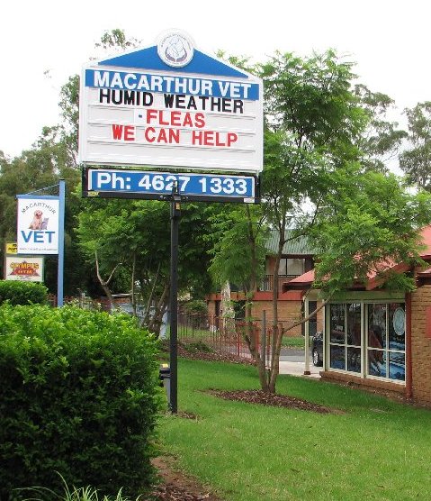 Macarthur Veterinary Group - Bradbury | veterinary care | 75 Jacaranda Ave, Bradbury NSW 2560, Australia | 0246271333 OR +61 2 4627 1333