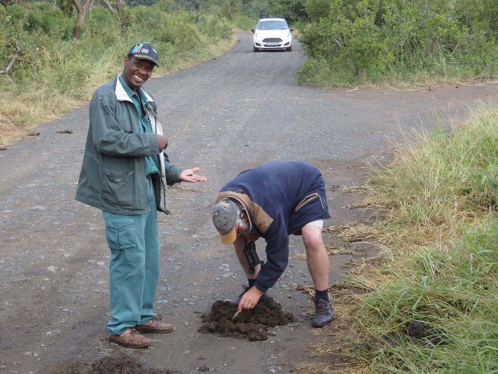 Dung Beetle Solutions Australia |  | 37 Cave Ave, Bridgewater SA 5155, Australia | 0883394158 OR +61 8 8339 4158