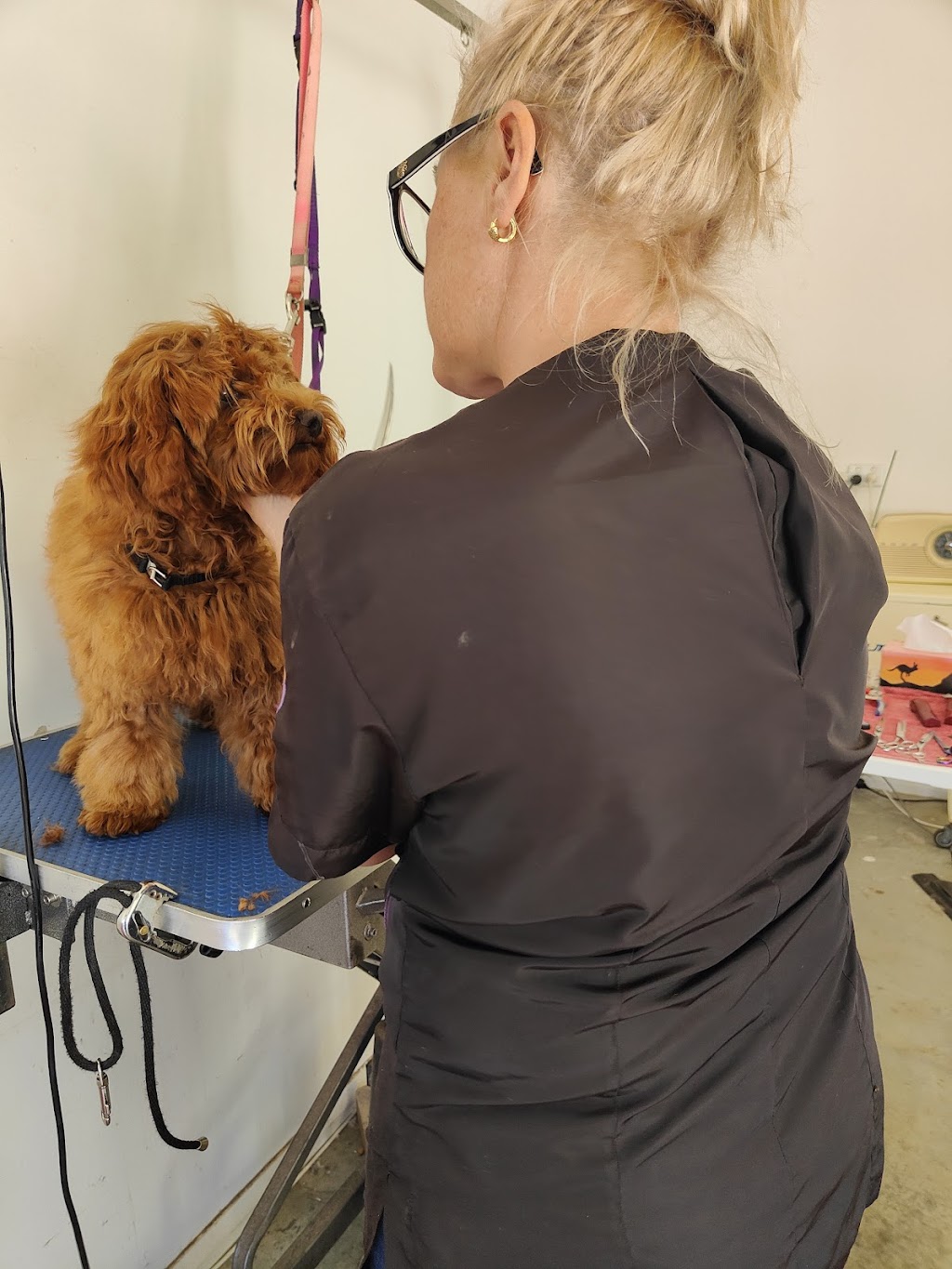 Farrahs Doggy Groomed | 12 Georgiana Cross, Cowaramup WA 6284, Australia | Phone: 0438 903 230