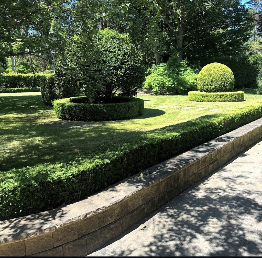 Highlands Hedging and Gardens | 1385 Wilson Dr, Colo Vale NSW 2575, Australia | Phone: 0452 399 294