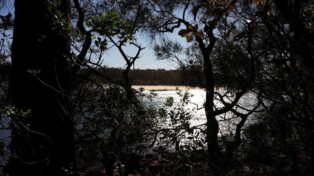 Narrawallee Creek Nature Reserve | park | Buckleys Point Trail, Ulladulla NSW 2539, Australia | 0244549500 OR +61 2 4454 9500