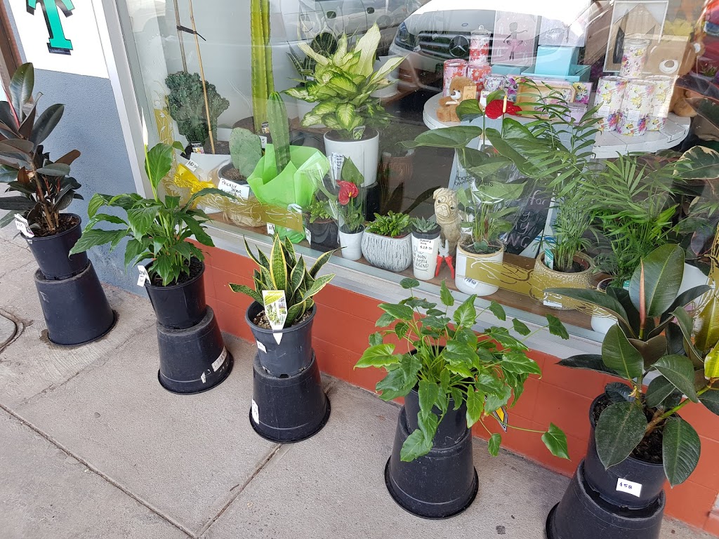 PLANTS R GO | 32 B Devon Rd, Pascoe Vale VIC 3044, Australia | Phone: 0413 997 593