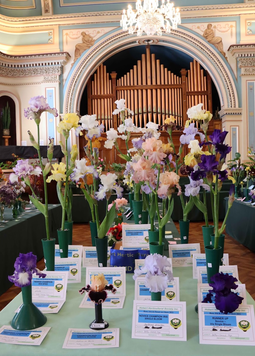 Hobart Horticultural Society | PO Box 2, Snug TAS 7054, Australia | Phone: 0438 700 457