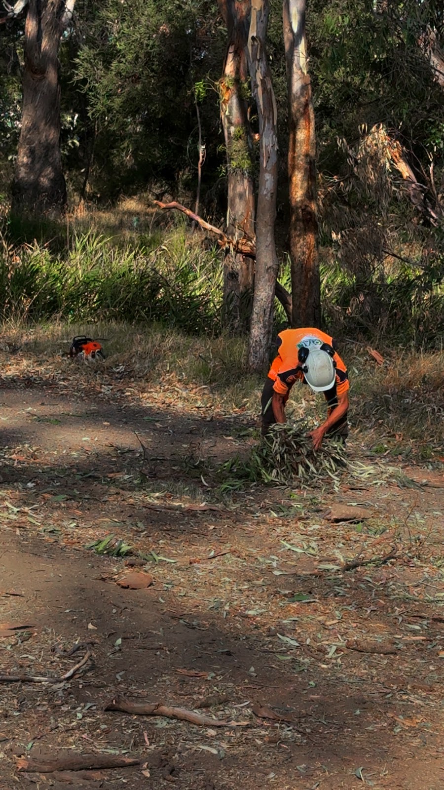 Carrick Trees & Contracting | 570 Stewart’s Rd, Tatura VIC 3616, Australia | Phone: 0457 283 085