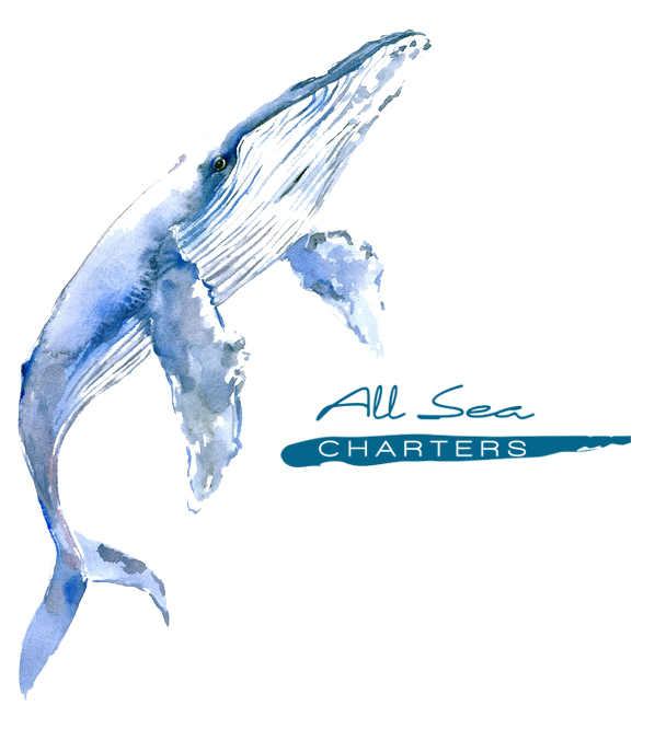 All Sea Charters Whale Watching Augusta | travel agency | Boat Harbour, Leeuwin Rd, Augusta WA 6290, Australia | 0417794008 OR +61 417 794 008