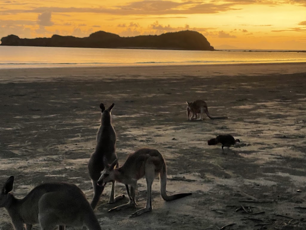 Cape Hillsborough Park | Cape Hillsborough Resort, Cape Hillsborough QLD 4740, Australia | Phone: (07) 4959 0152